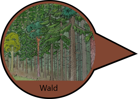 Naturraum Wald