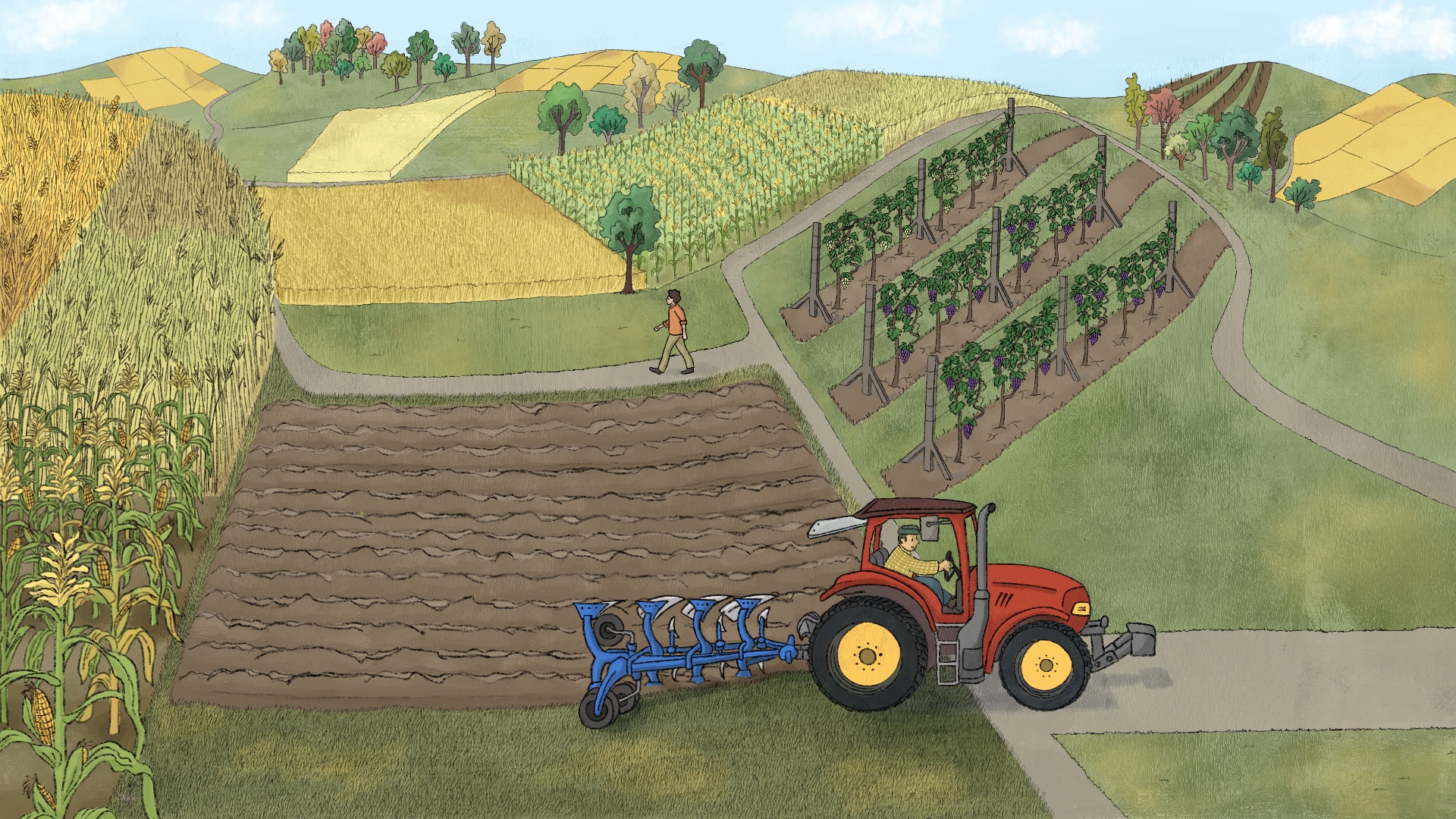 Landwirtschaft Heute
