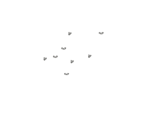 Viele Tigermücken