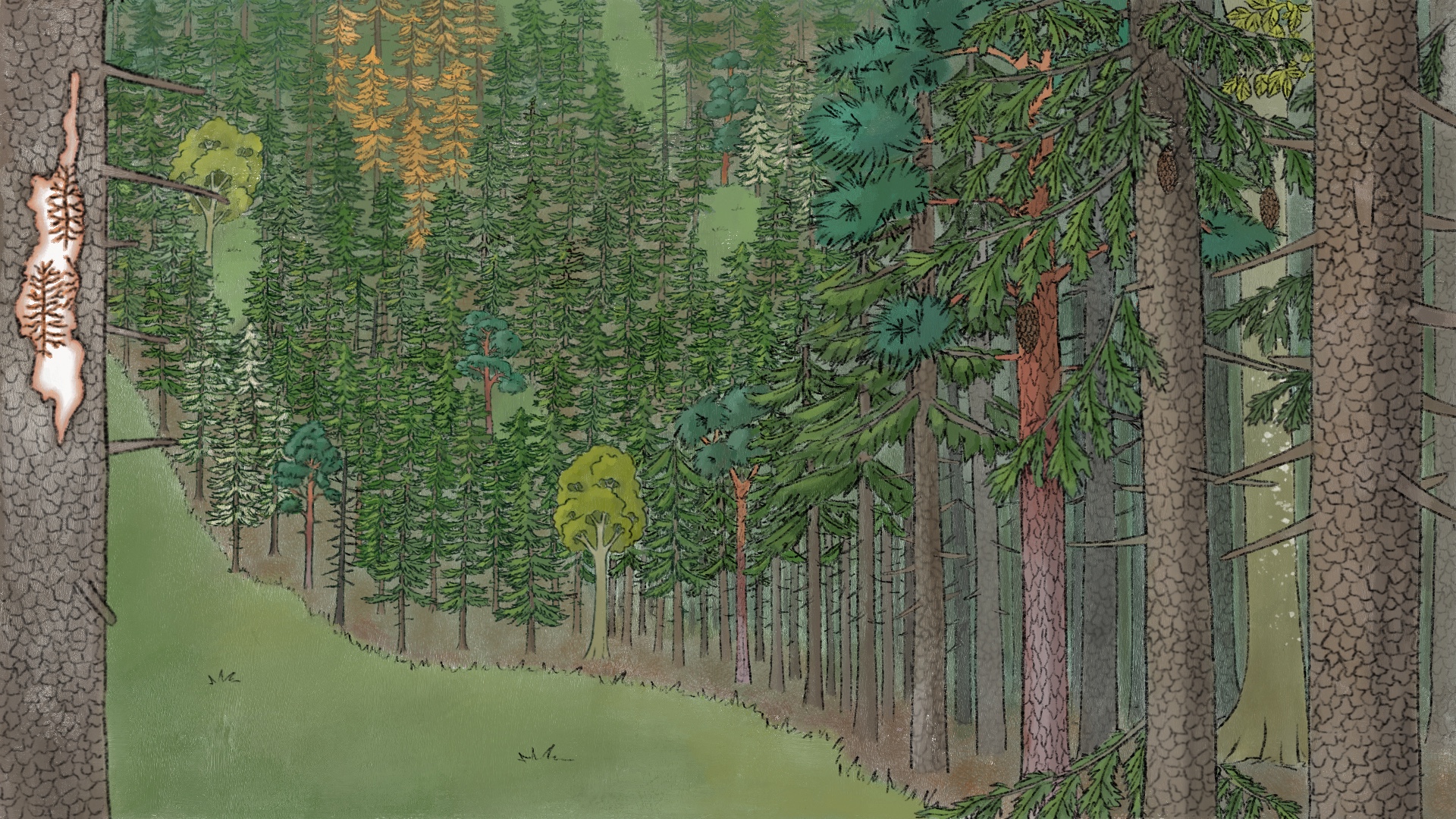 Wald Heute
